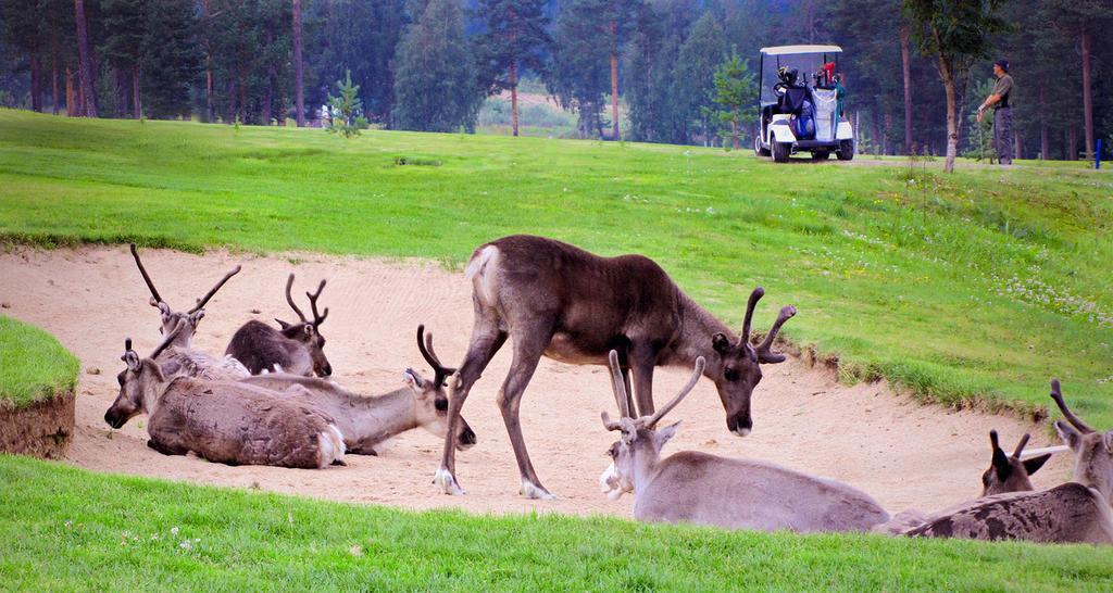 Lapland Hotels Ounasvaara Chalets Рованиеми Экстерьер фото